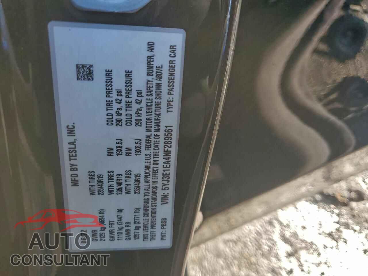TESLA MODEL 3 2022 - 5YJ3E1EA4NF289561