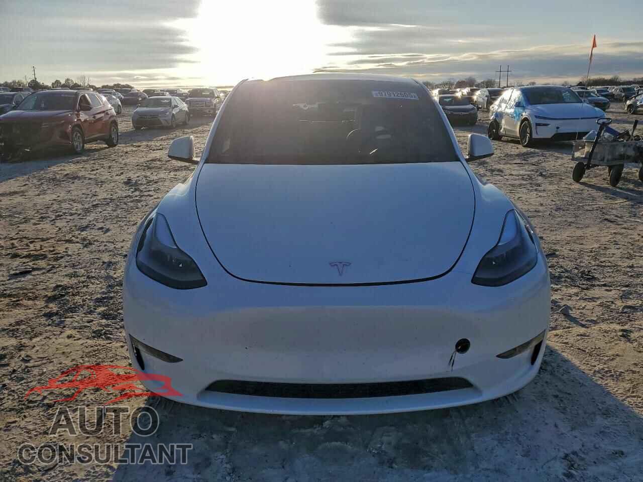 TESLA MODEL Y 2024 - 7SAYGAEE5RF190050