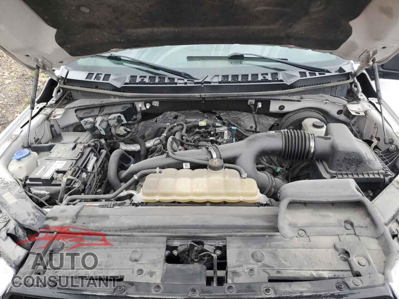 FORD F-150 2019 - 1FTEW1CP2KFB70833