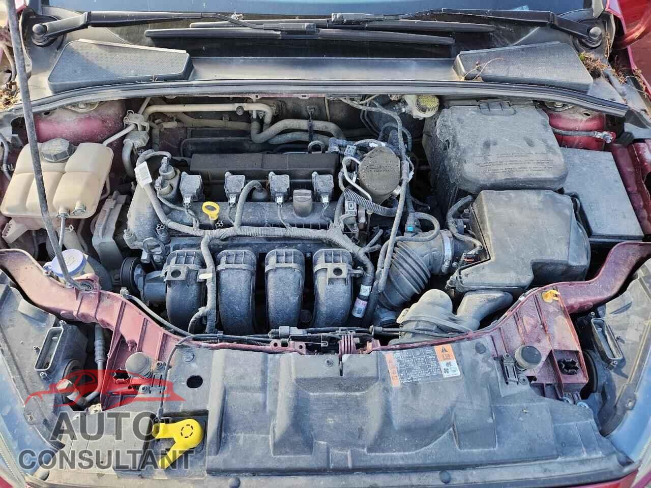 FORD FOCUS 2016 - 1FADP3F22GL302072
