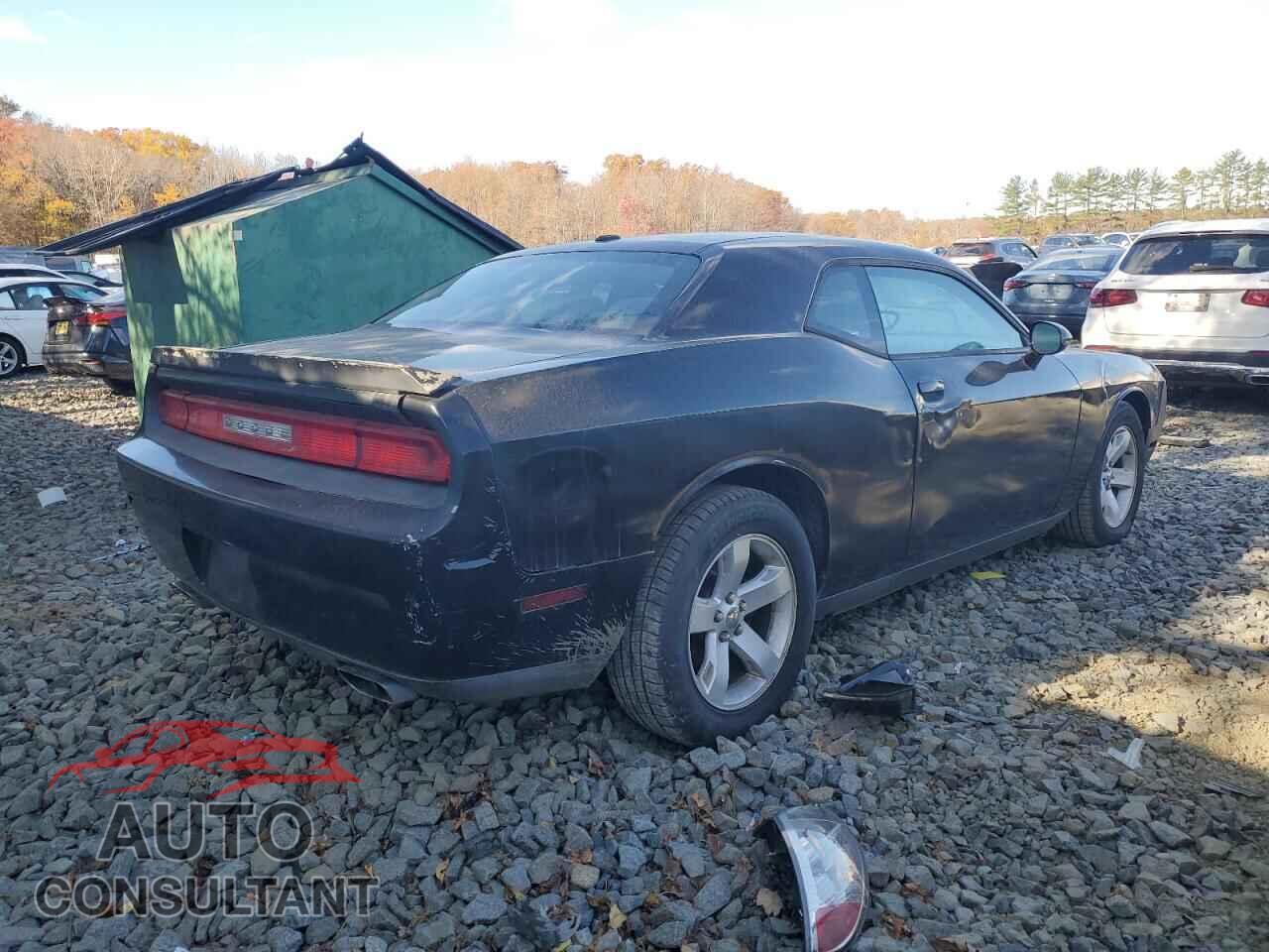 DODGE CHALLENGER 2012 - 2C3CDYAG2CH259329