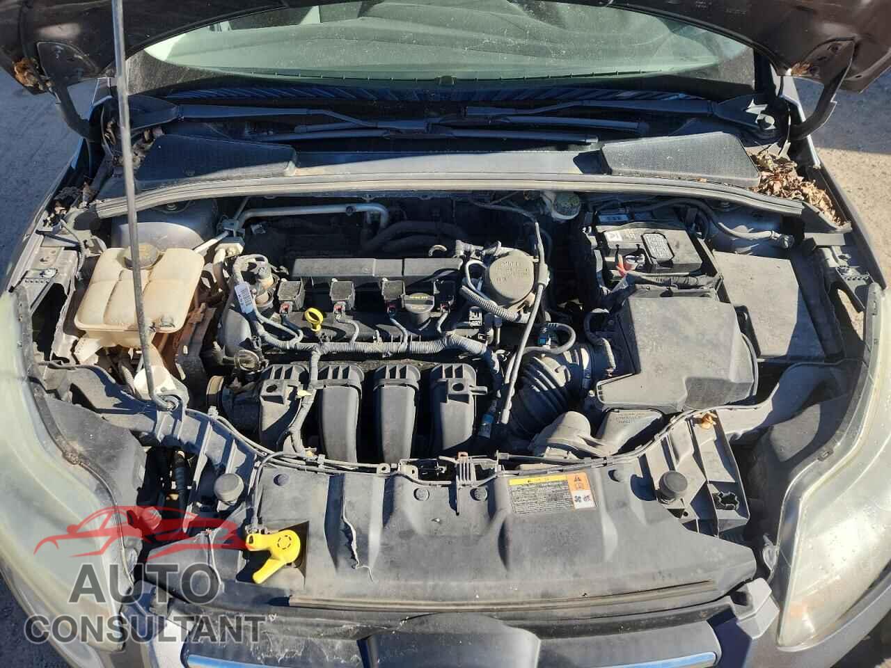 FORD FOCUS 2014 - 1FADP3F29EL146920