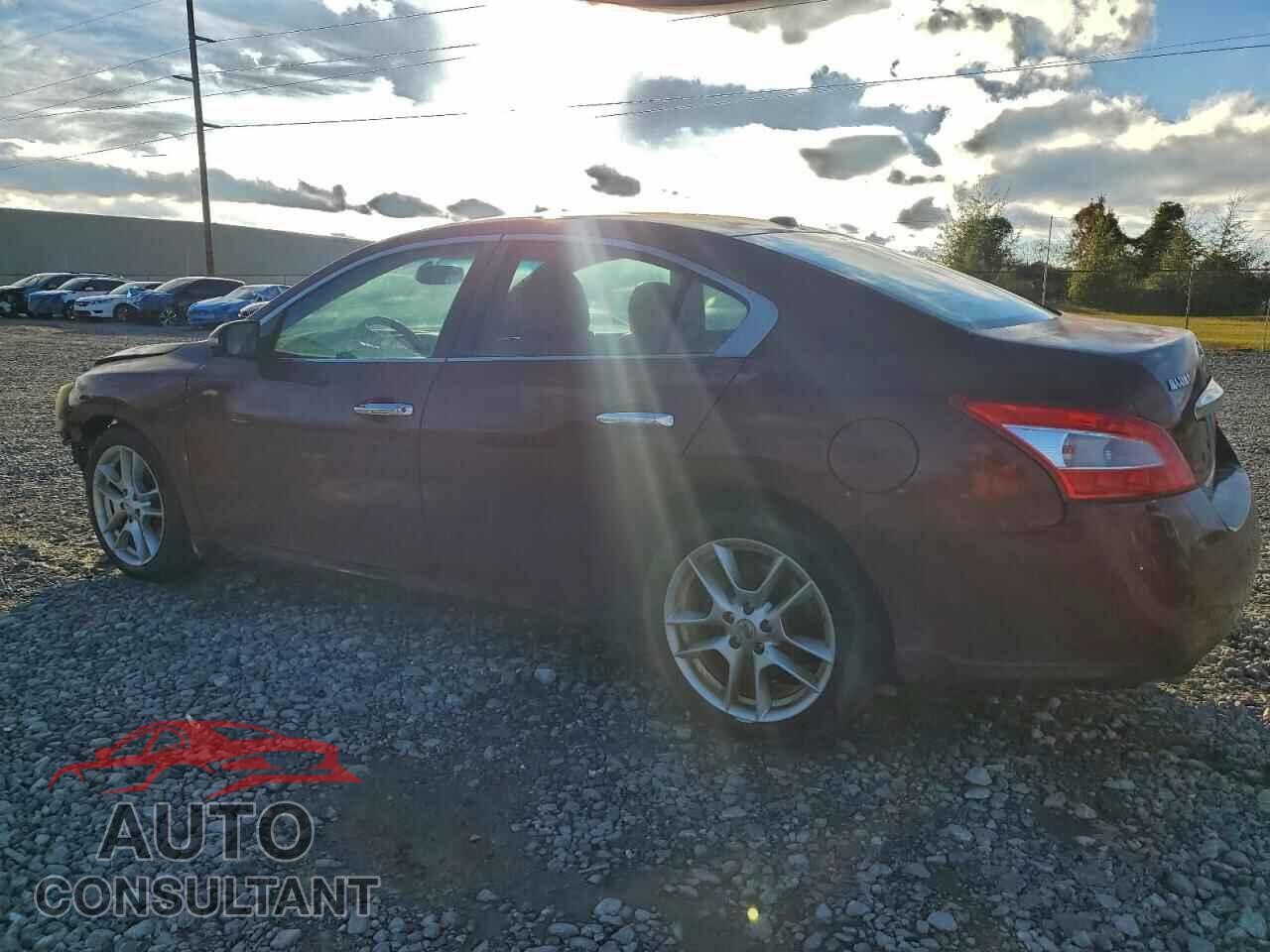 NISSAN MAXIMA 2011 - 1N4AA5AP1BC845571