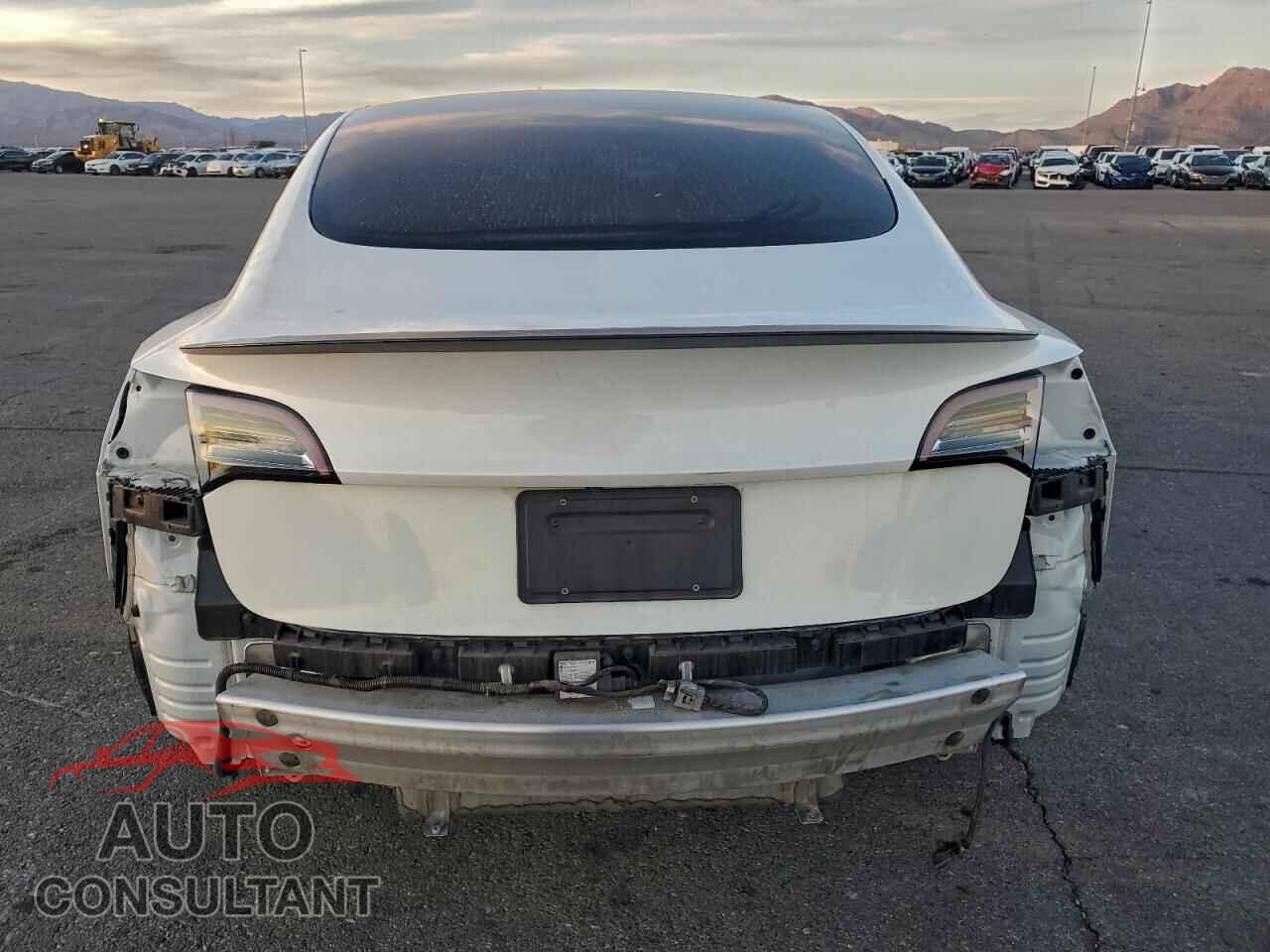 TESLA MODEL 3 2021 - 5YJ3E1EA1MF874788
