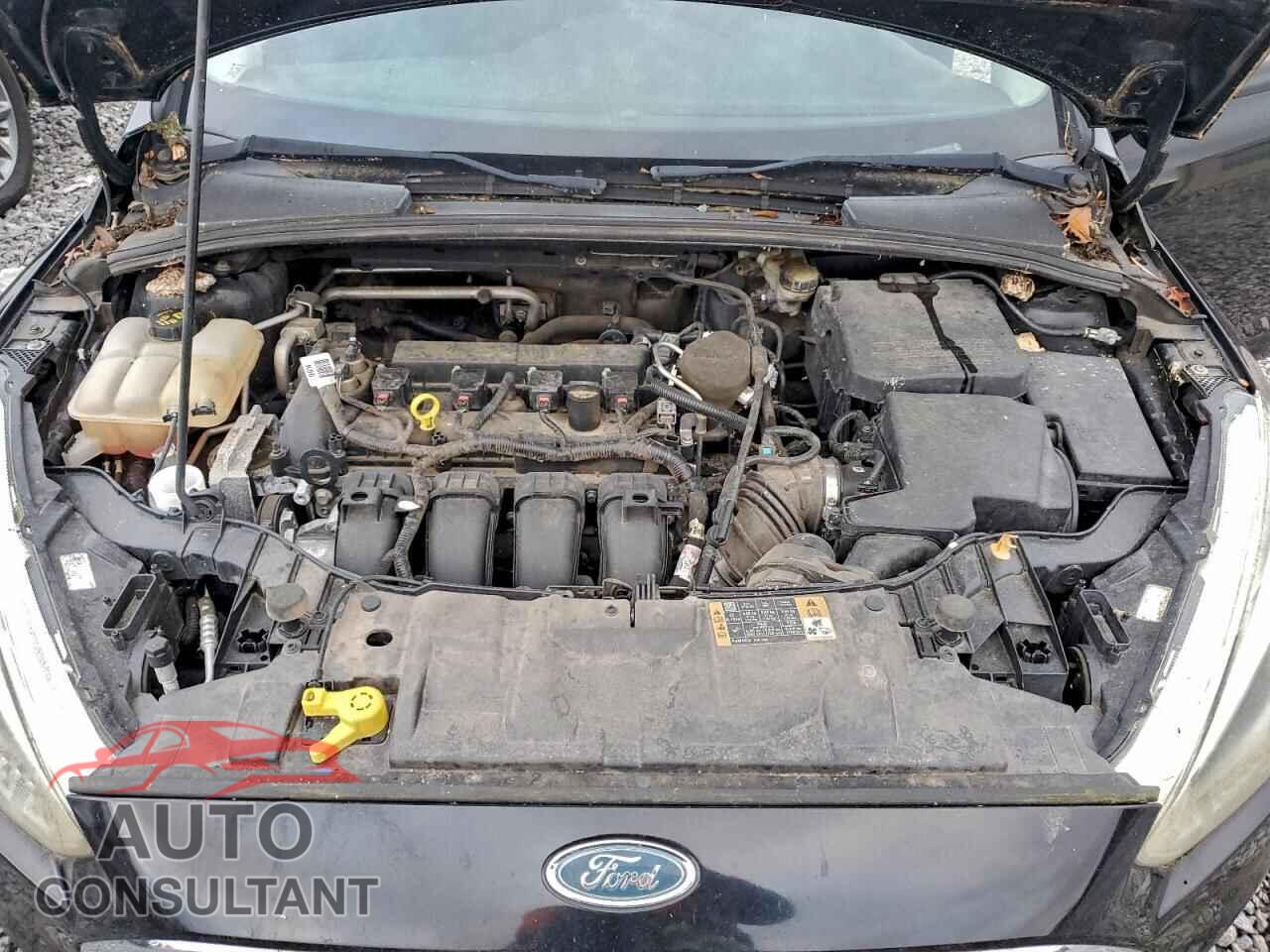 FORD FOCUS 2015 - 1FADP3K24FL219425
