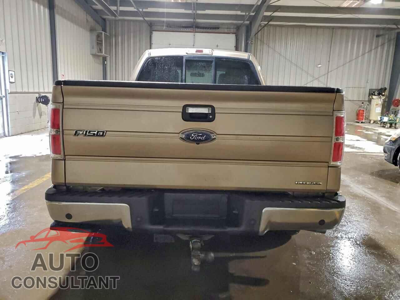 FORD F-150 2013 - 1FTFX1EFXDFD79195
