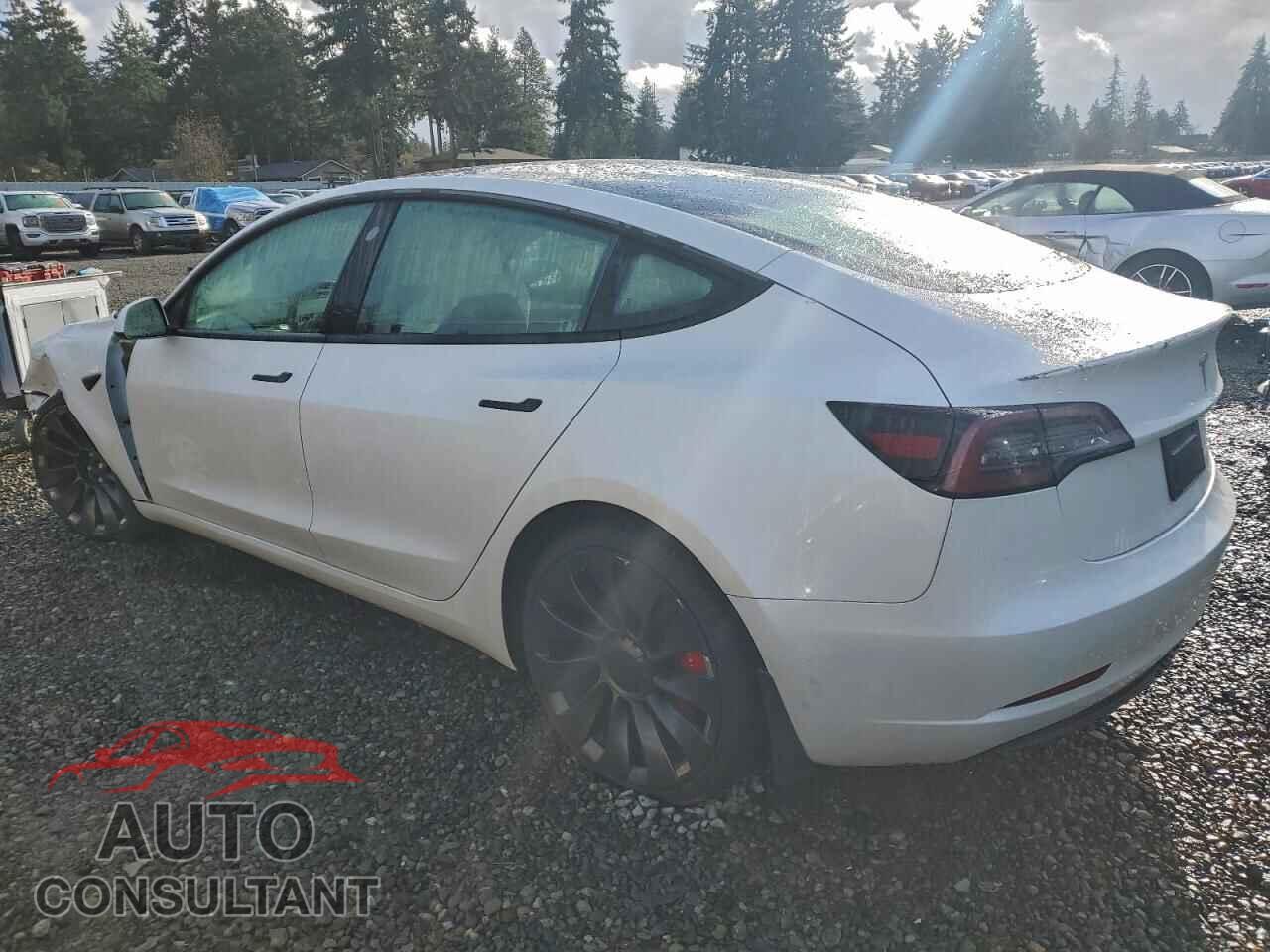TESLA MODEL 3 2023 - 5YJ3E1EC4PF559893