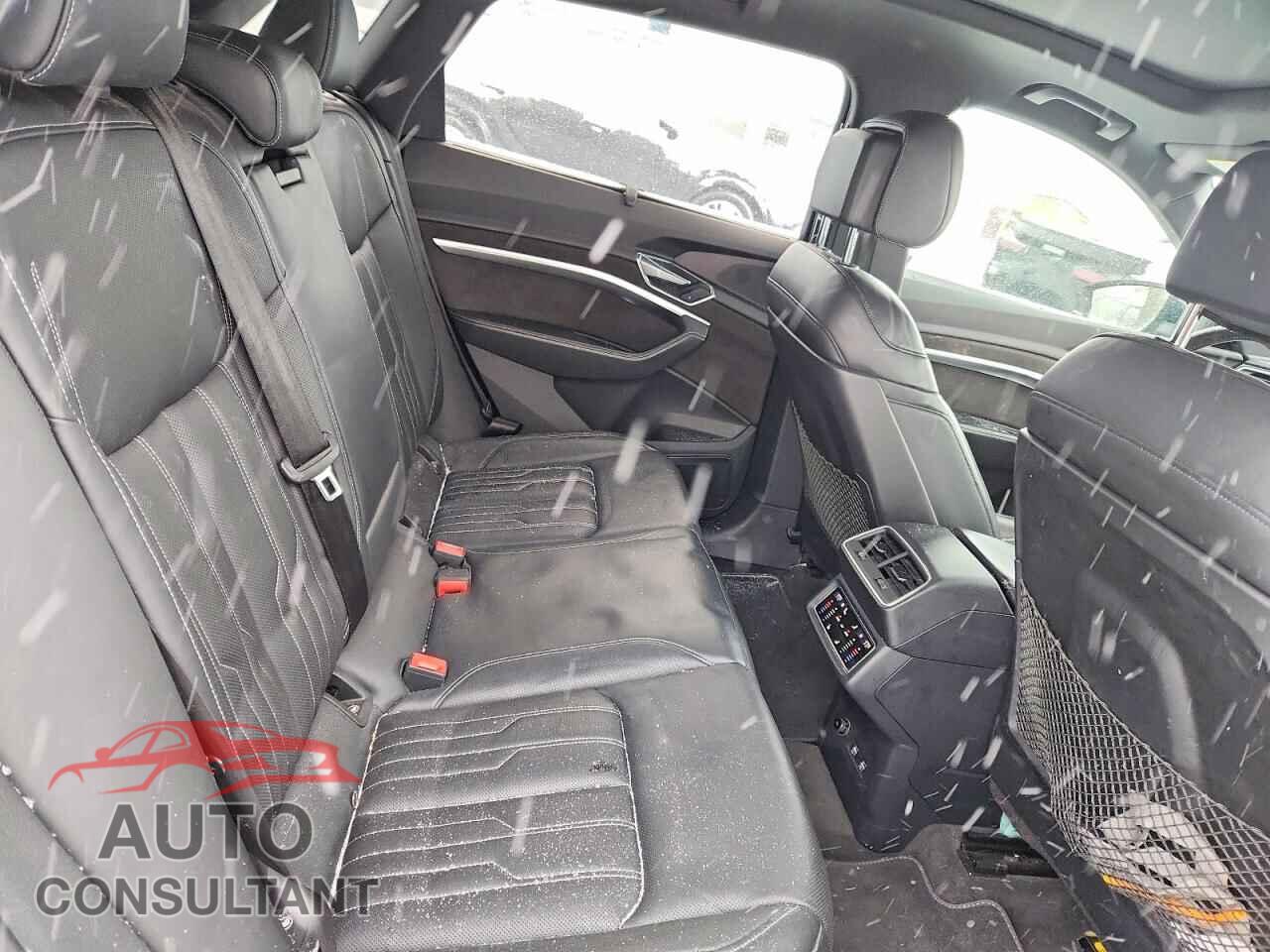 AUDI E-TRON 2019 - WA1VAAGE0KB008742