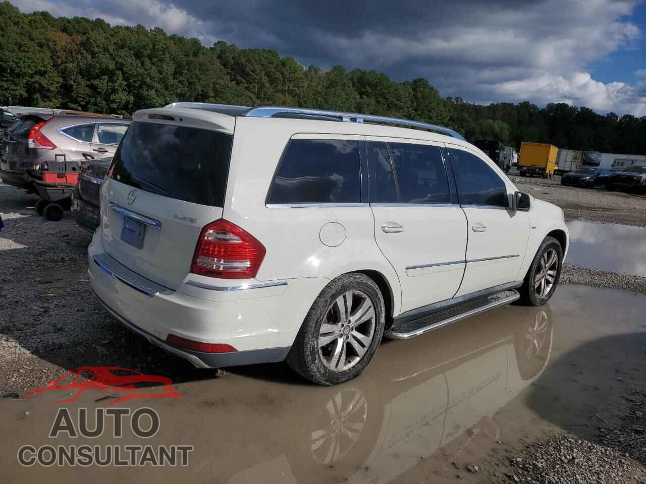 MERCEDES-BENZ GL-CLASS 2010 - 4JGBF2FE4AA582472