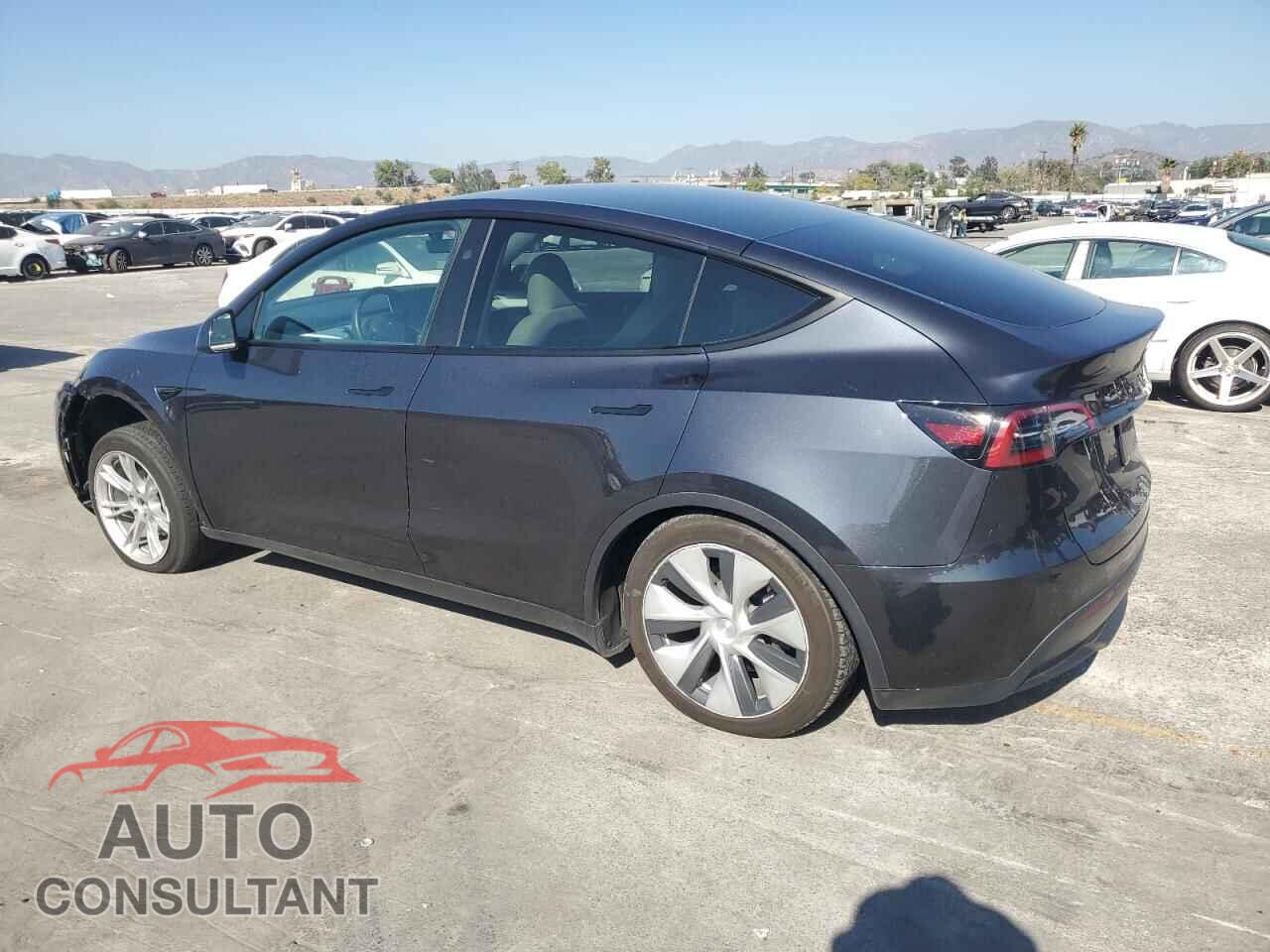TESLA MODEL Y 2024 - 7SAYGDEE1RF062096