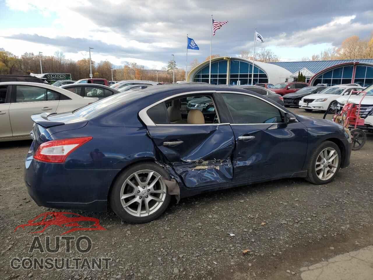 NISSAN MAXIMA 2011 - 1N4AA5AP4BC855480