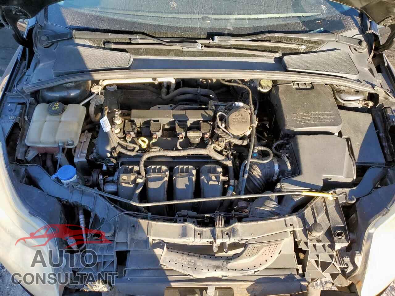 FORD FOCUS 2014 - 1FADP3F21EL123213