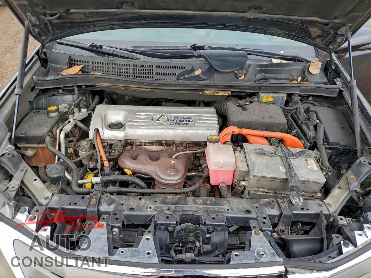 LEXUS HS 2010 - JTHBB1BA0A2003712
