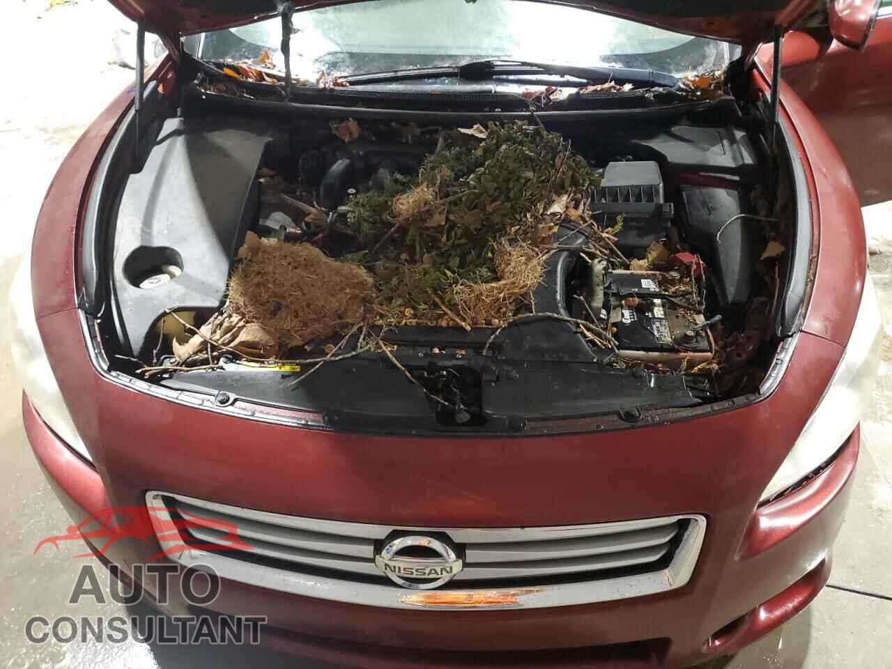 NISSAN MAXIMA 2012 - 1N4AA5AP1CC825824