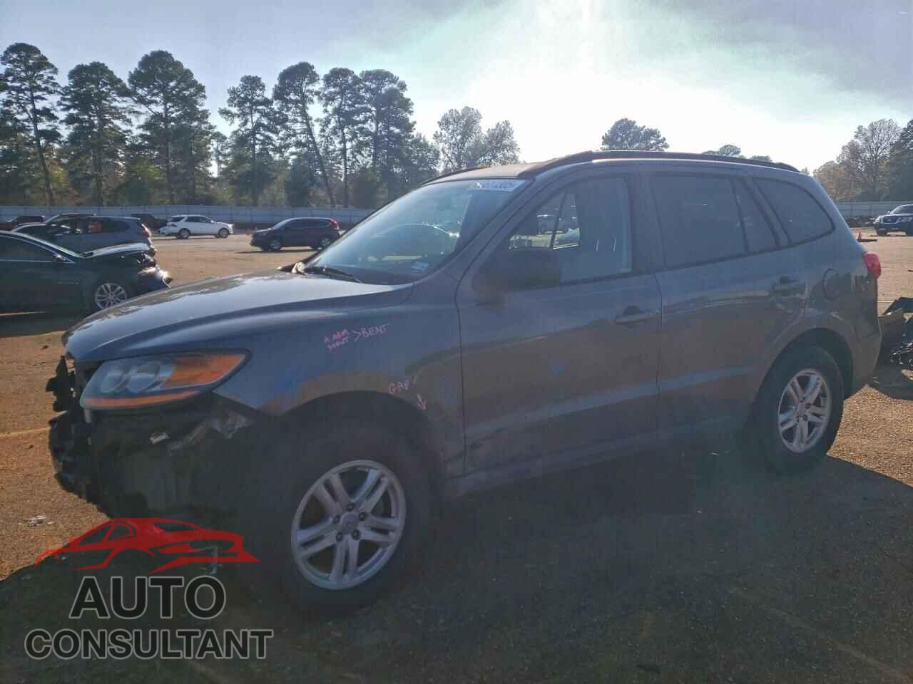 HYUNDAI SANTA FE 2010 - 5NMSG3AB5AH407786