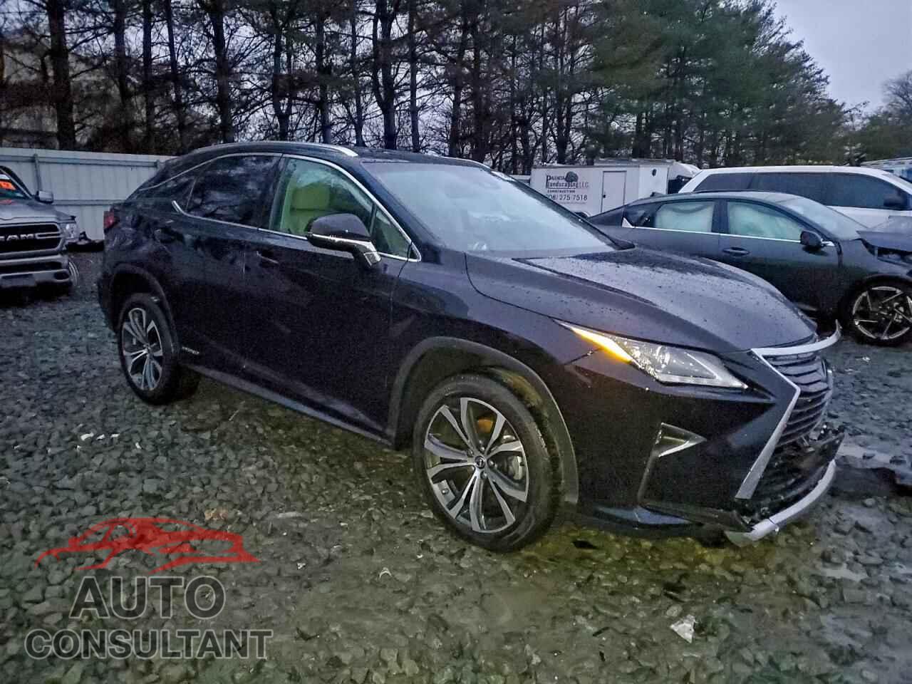 LEXUS RX450 2019 - 2T2BGMCA4KC031188