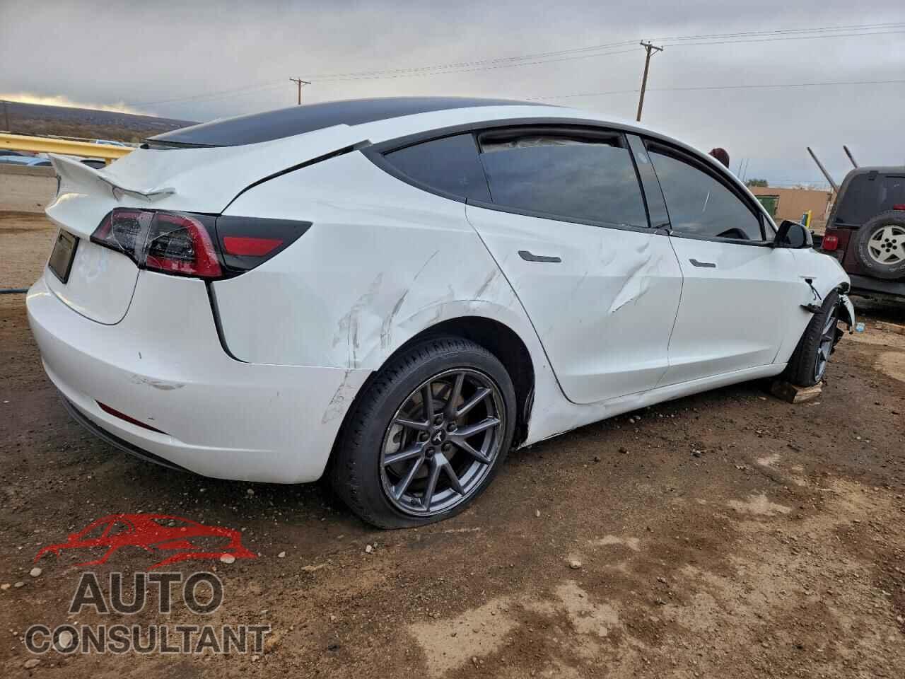 TESLA MODEL 3 2021 - 5YJ3E1EA0MF043802