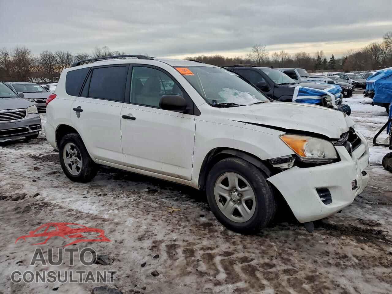TOYOTA RAV4 2011 - 2T3BF4DVXBW176671