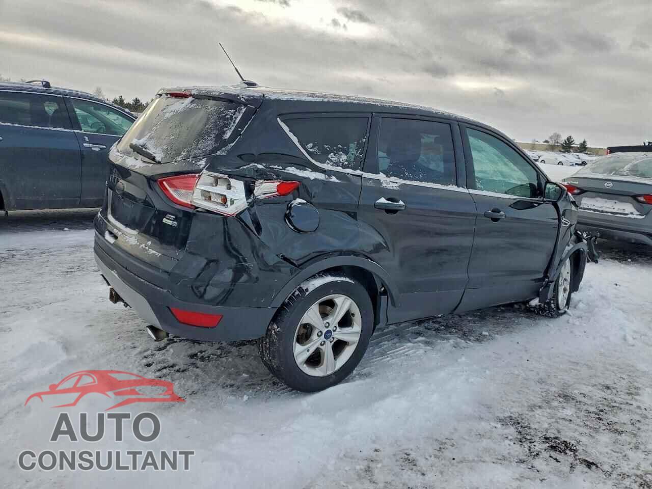 FORD ESCAPE 2014 - 1FMCU9G96EUD80502