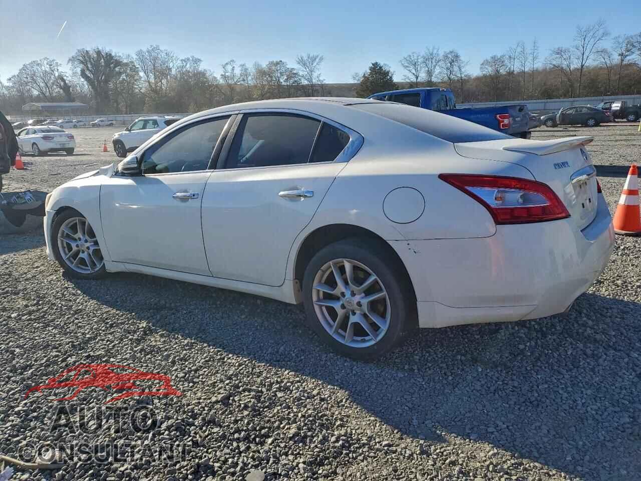NISSAN MAXIMA 2011 - 1N4AA5APXBC864975