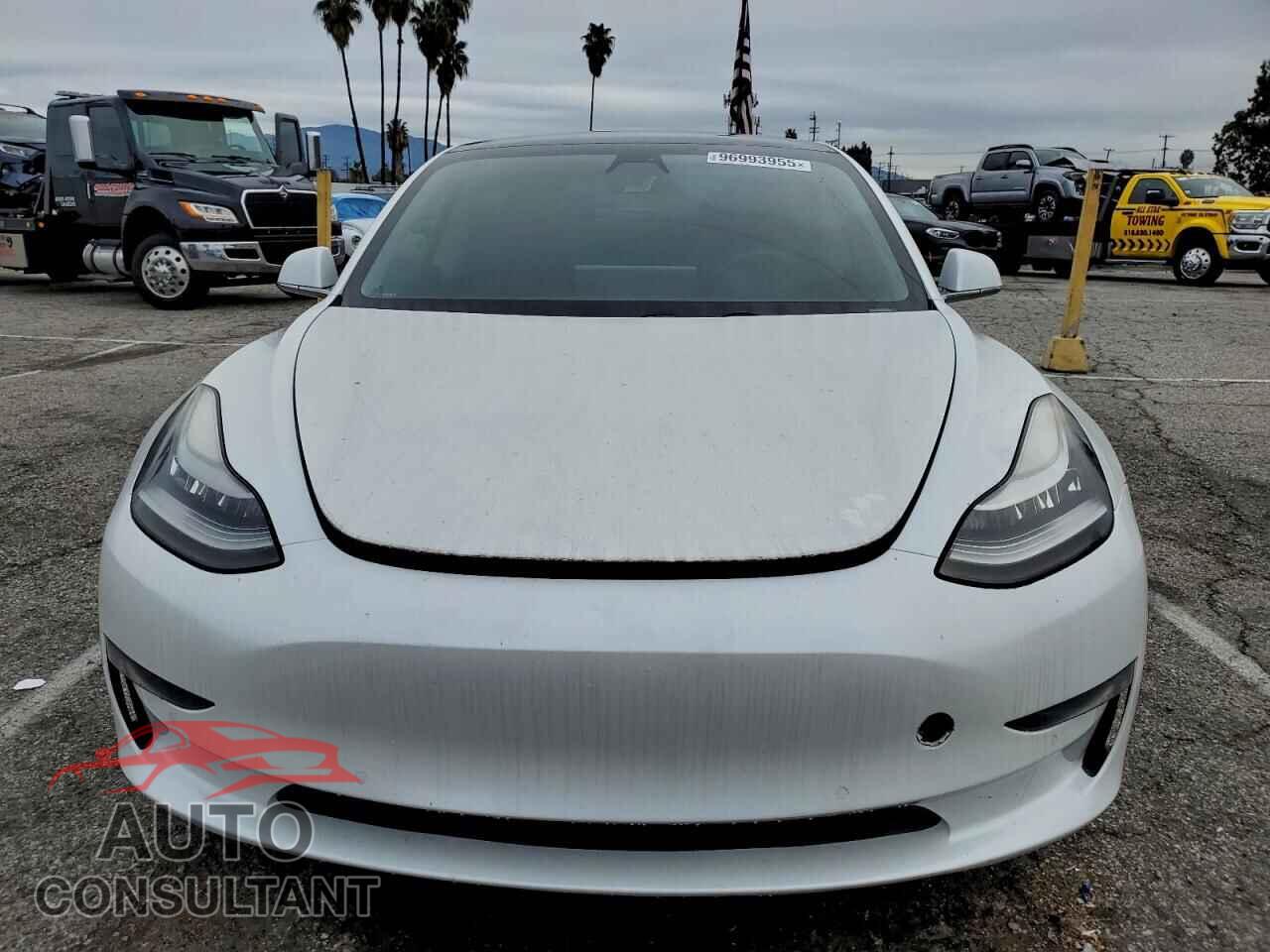 TESLA MODEL 3 2019 - 5YJ3E1EA1KF428928