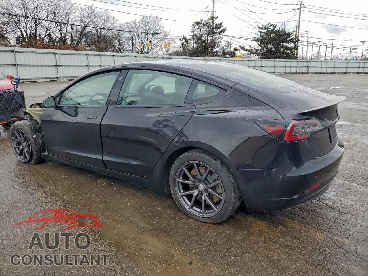 TESLA MODEL 3 2019 - 5YJ3E1EA0KF305959
