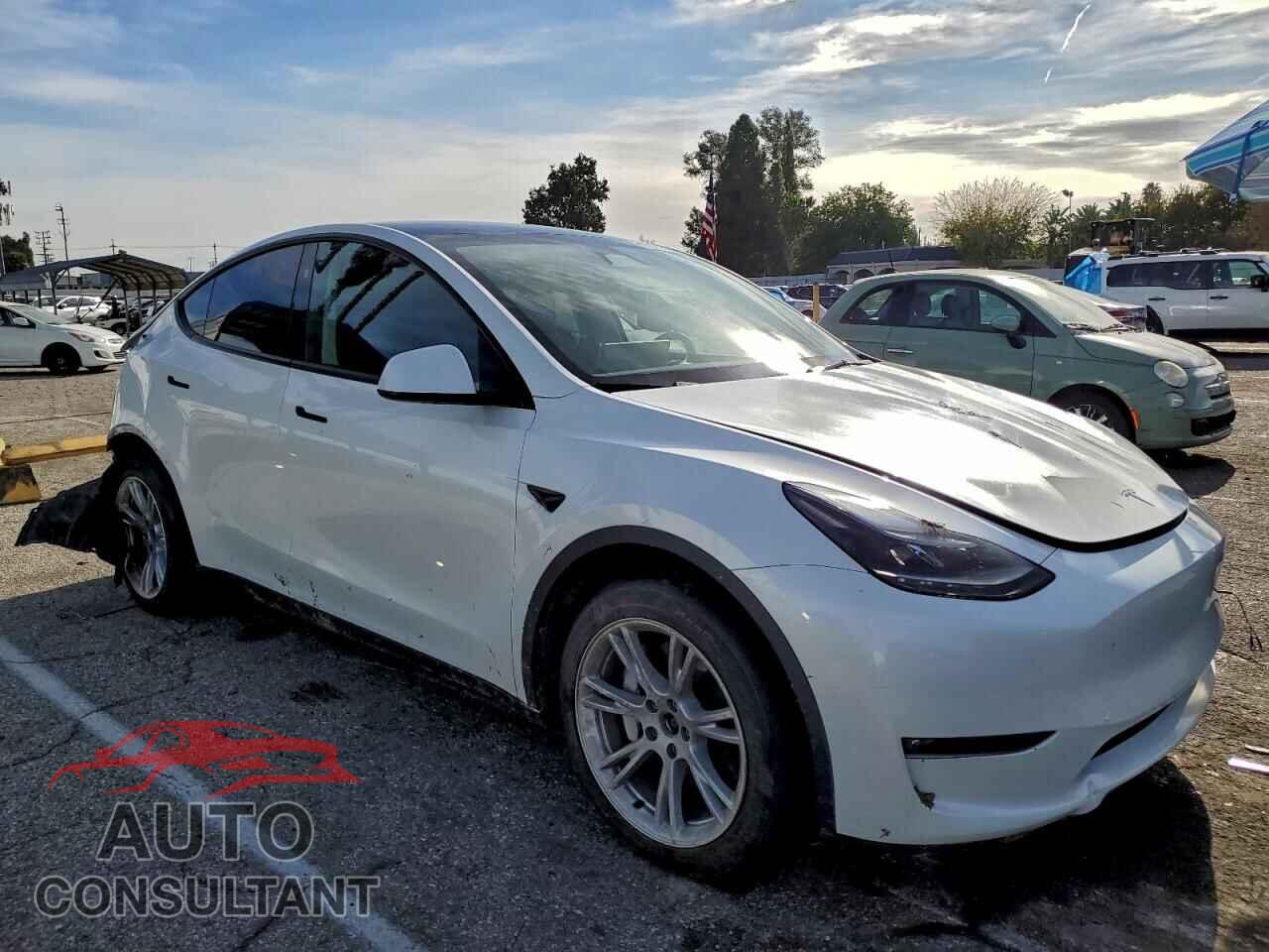 TESLA MODEL Y 2023 - 7SAYGDEE0PF865656