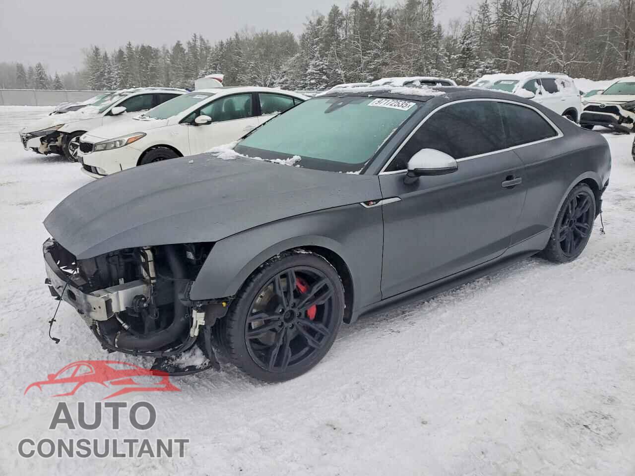 AUDI S5/RS5 2019 - WAUR4AF55KA062816