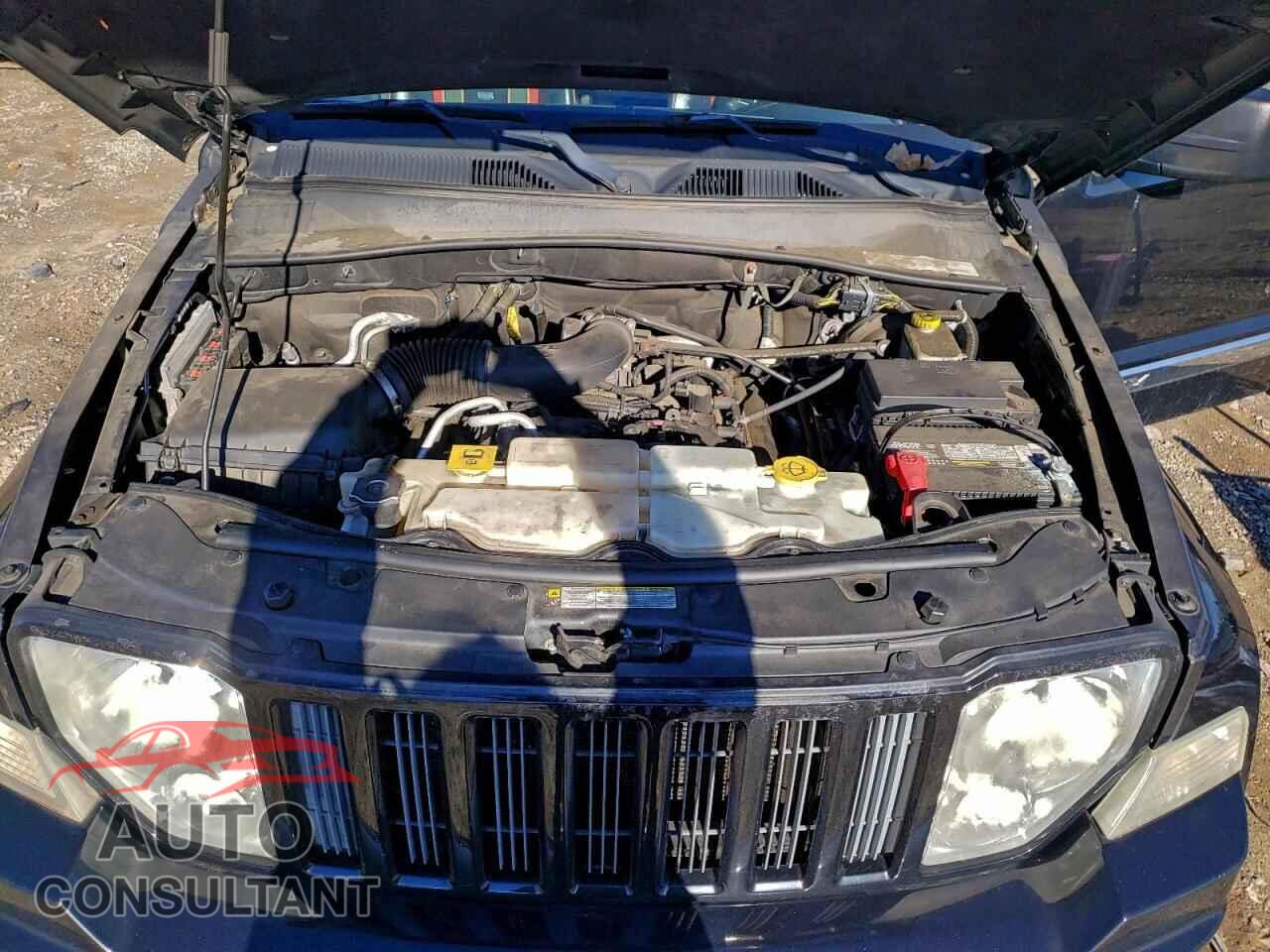 JEEP LIBERTY 2011 - 1J4PN2GK3BW558261