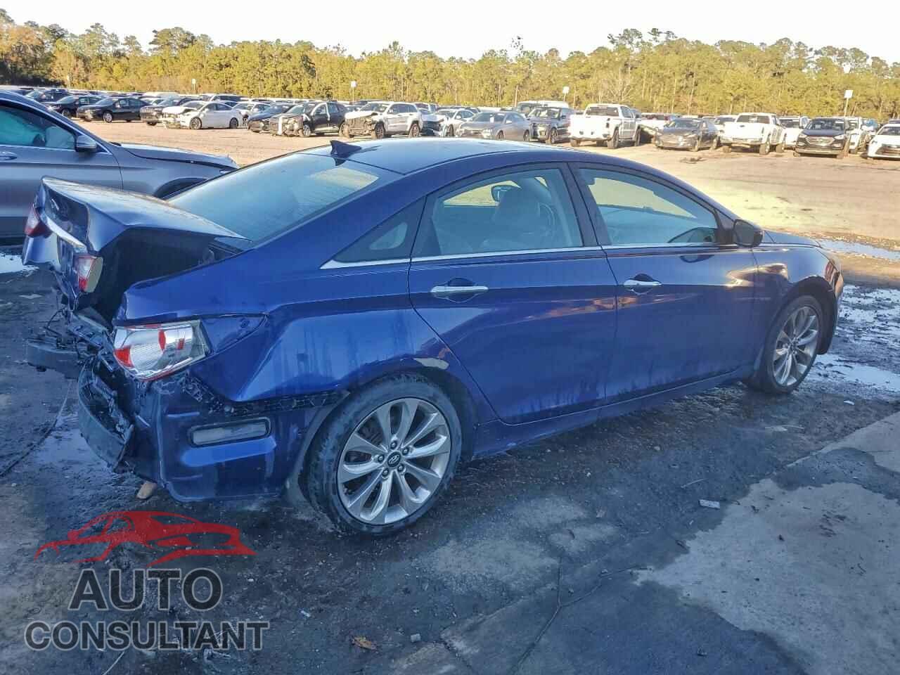HYUNDAI SONATA 2013 - 5NPEC4AC3DH810115