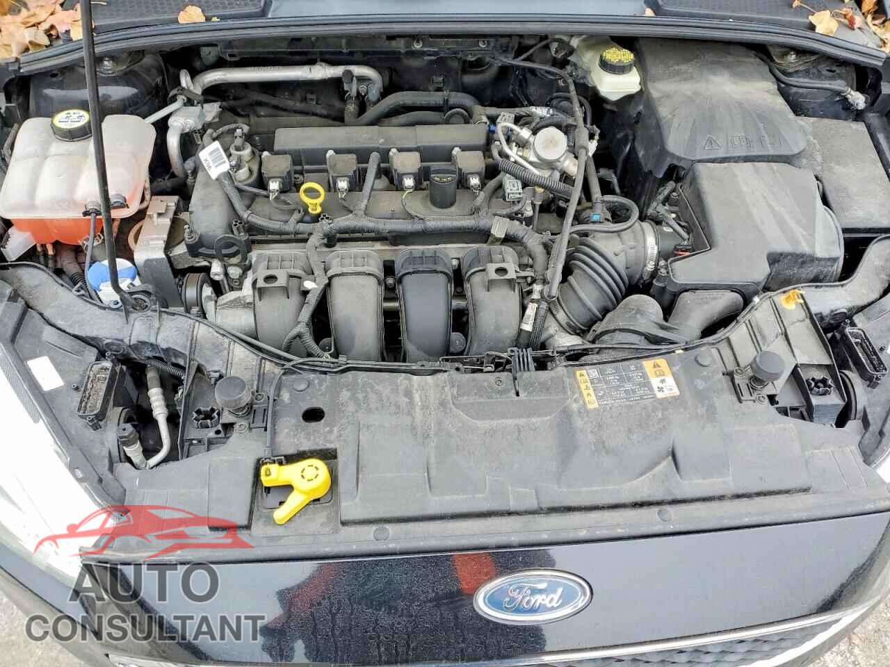 FORD FOCUS 2017 - 1FADP3K25HL214401