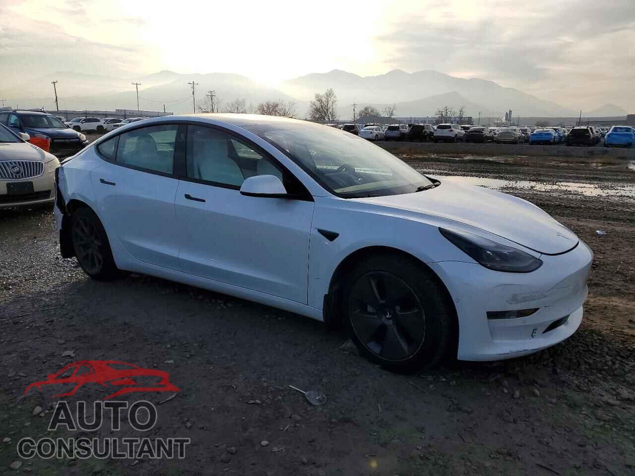 TESLA MODEL 3 2021 - 5YJ3E1EA4MF929363