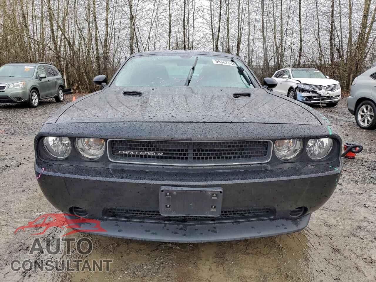 DODGE CHALLENGER 2013 - 2C3CDYAG2DH704735