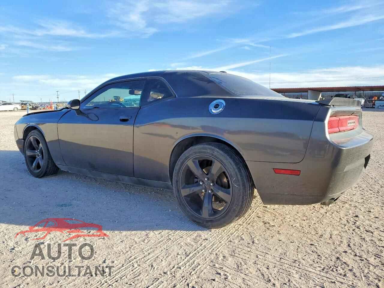 DODGE CHALLENGER 2014 - 2C3CDYAG3EH293928