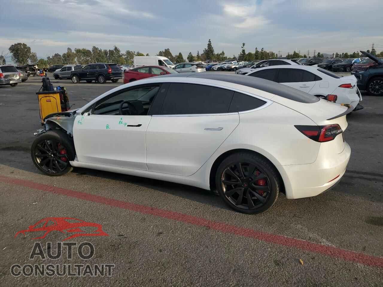 TESLA MODEL 3 2019 - 5YJ3E1EAXKF434534