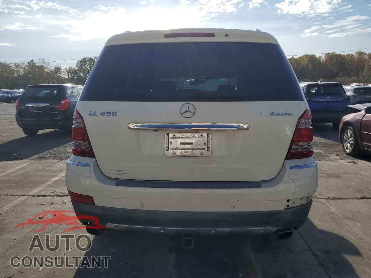 MERCEDES-BENZ GL-CLASS 2009 - 4JGBF71E69A525979