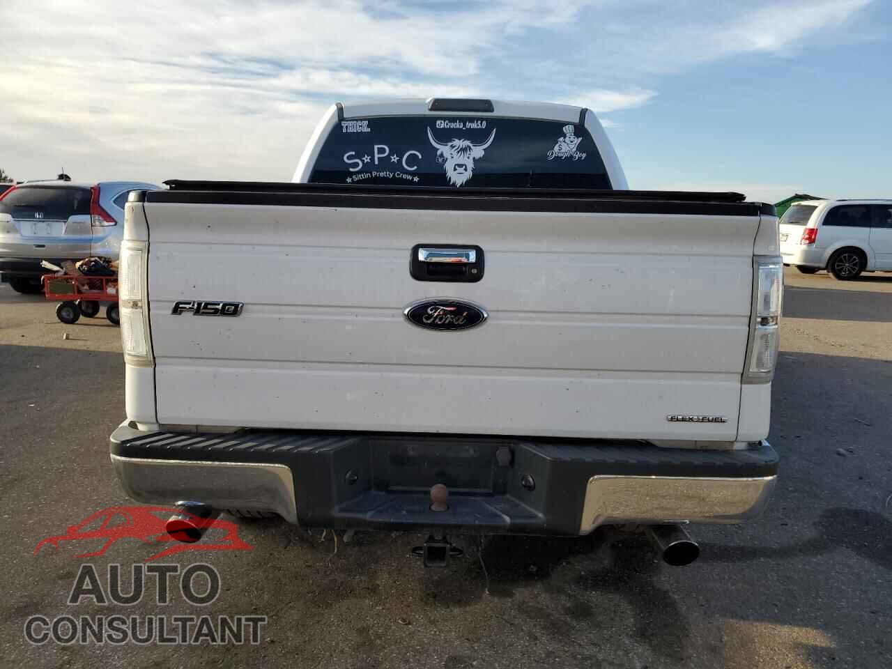 FORD F-150 2014 - 1FTFW1EF8EKE85592