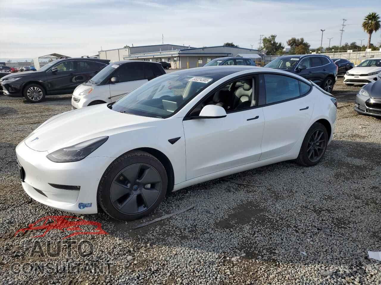 TESLA MODEL 3 2021 - 5YJ3E1EB3MF067486