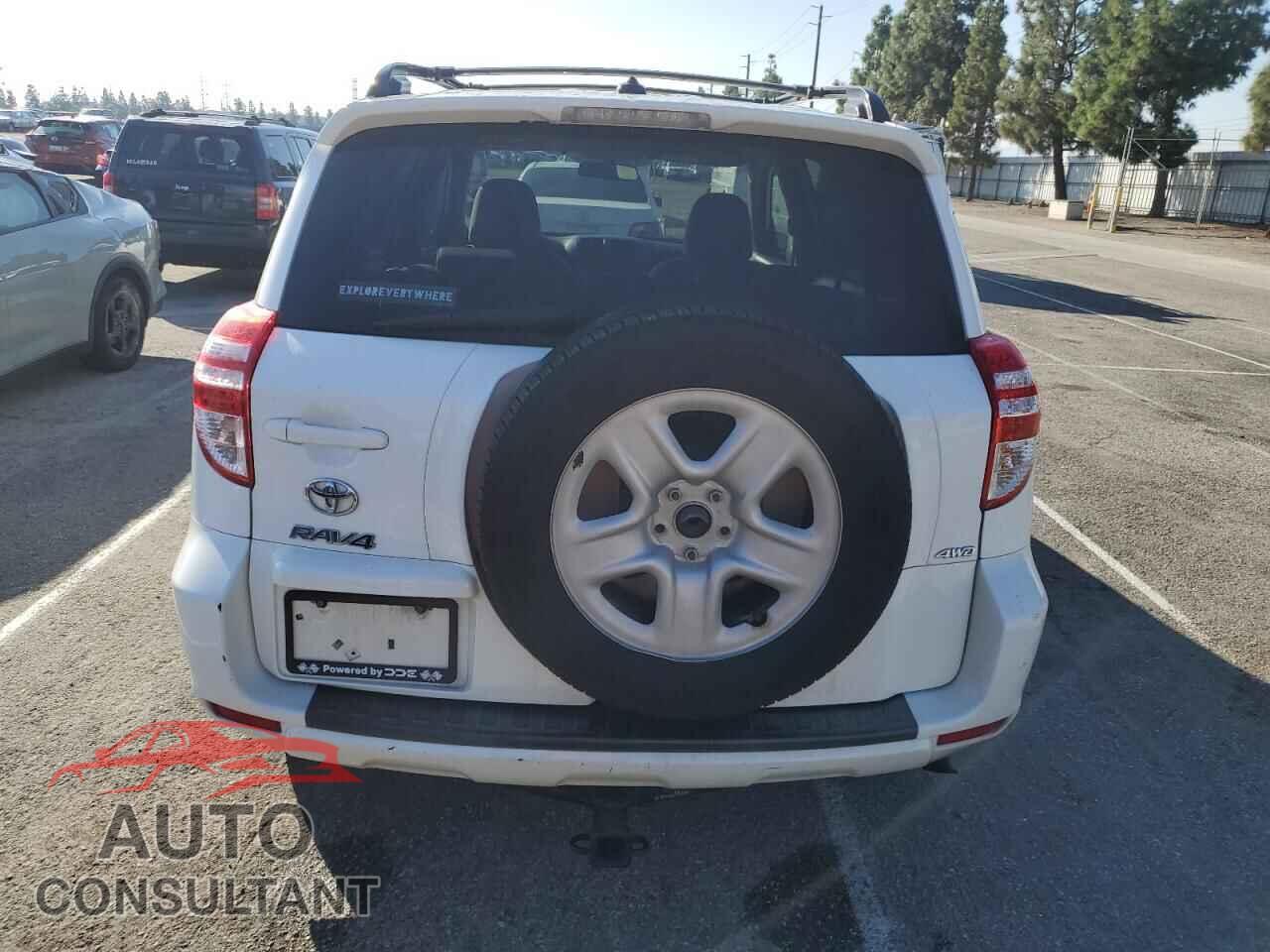 TOYOTA RAV4 2011 - 2T3BF4DV6BW100171