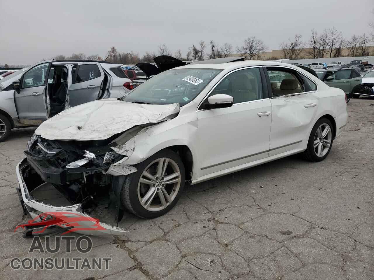 VOLKSWAGEN PASSAT 2014 - 1VWCS7A36EC020166