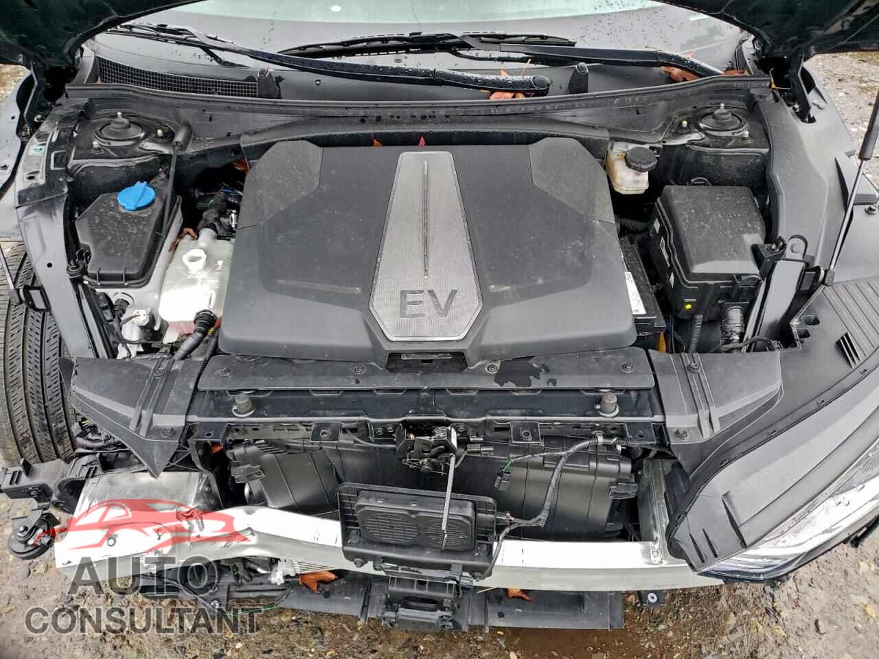 KIA EV6 LIGHT 2024 - KNDC3DLCXR5213734