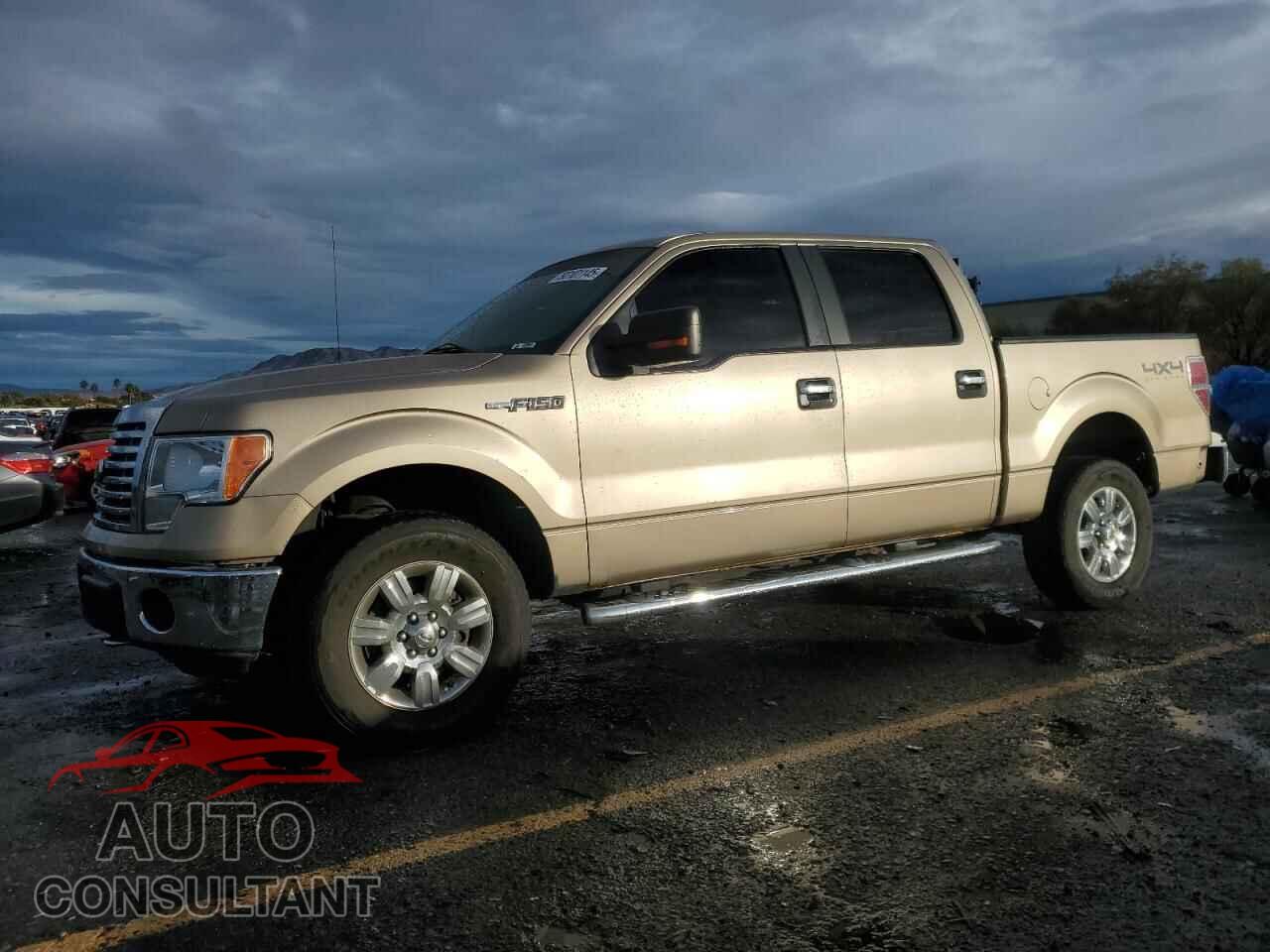 FORD F-150 2012 - 1FTFW1EF0CFA71499