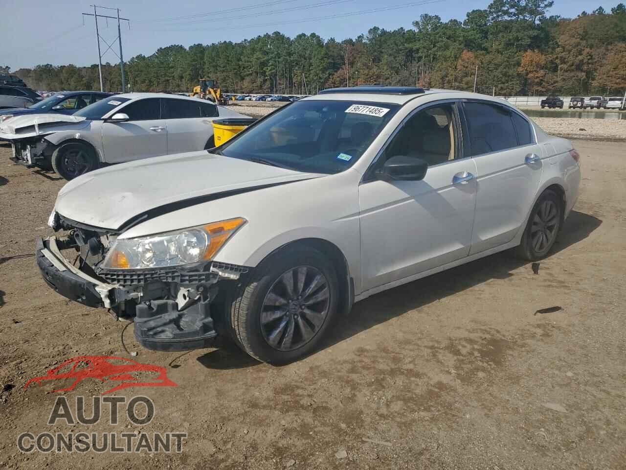 HONDA ACCORD 2011 - 5KBCP3F87BB003801