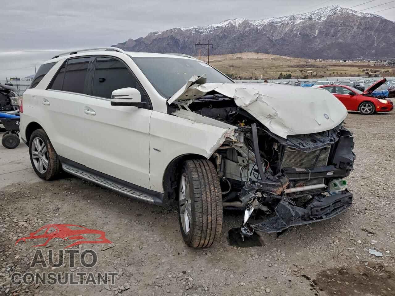 MERCEDES-BENZ M-CLASS 2012 - 4JGDA5HB1CA069159