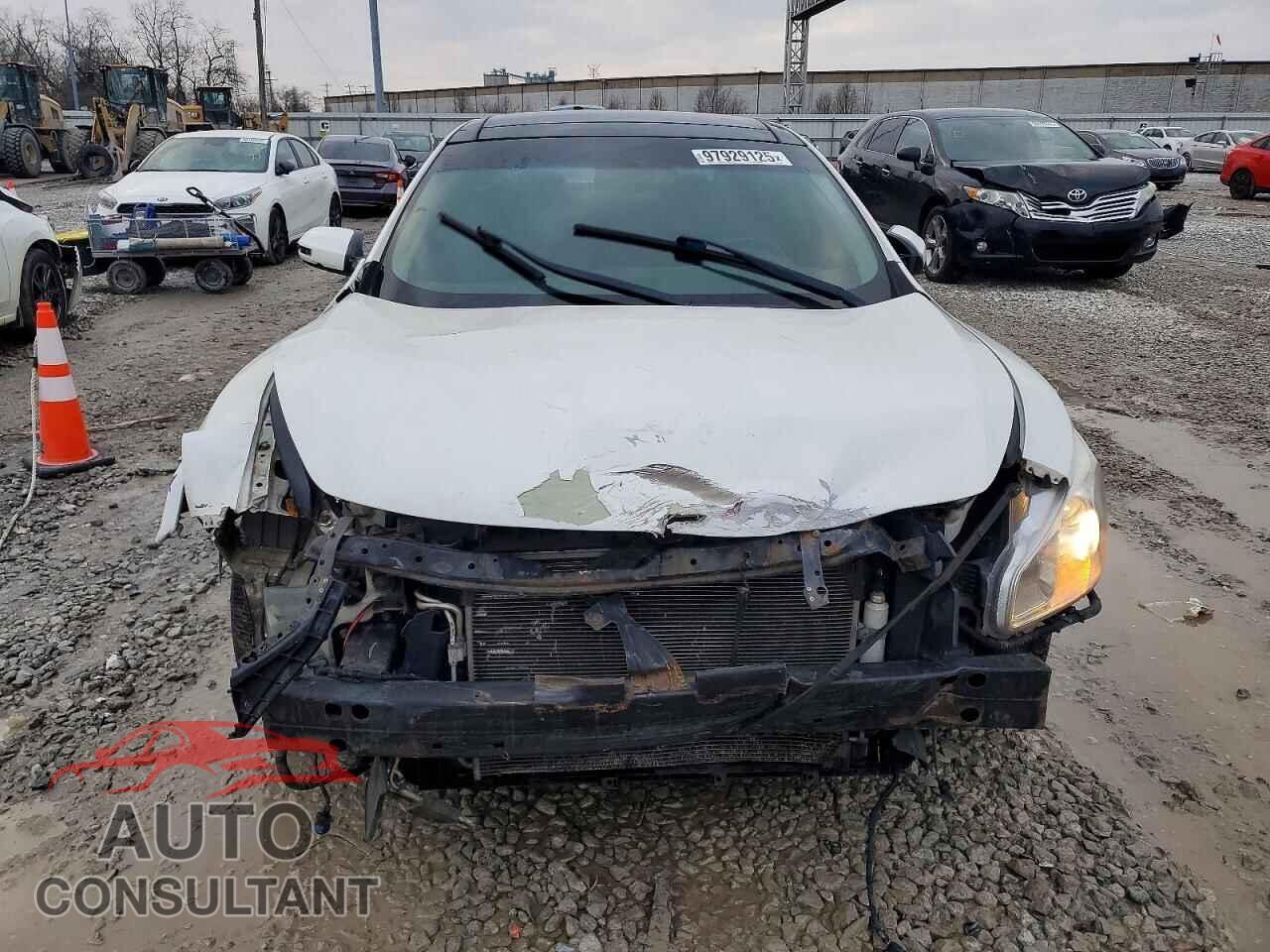 NISSAN MAXIMA 2010 - 1N4AA5AP1AC847609