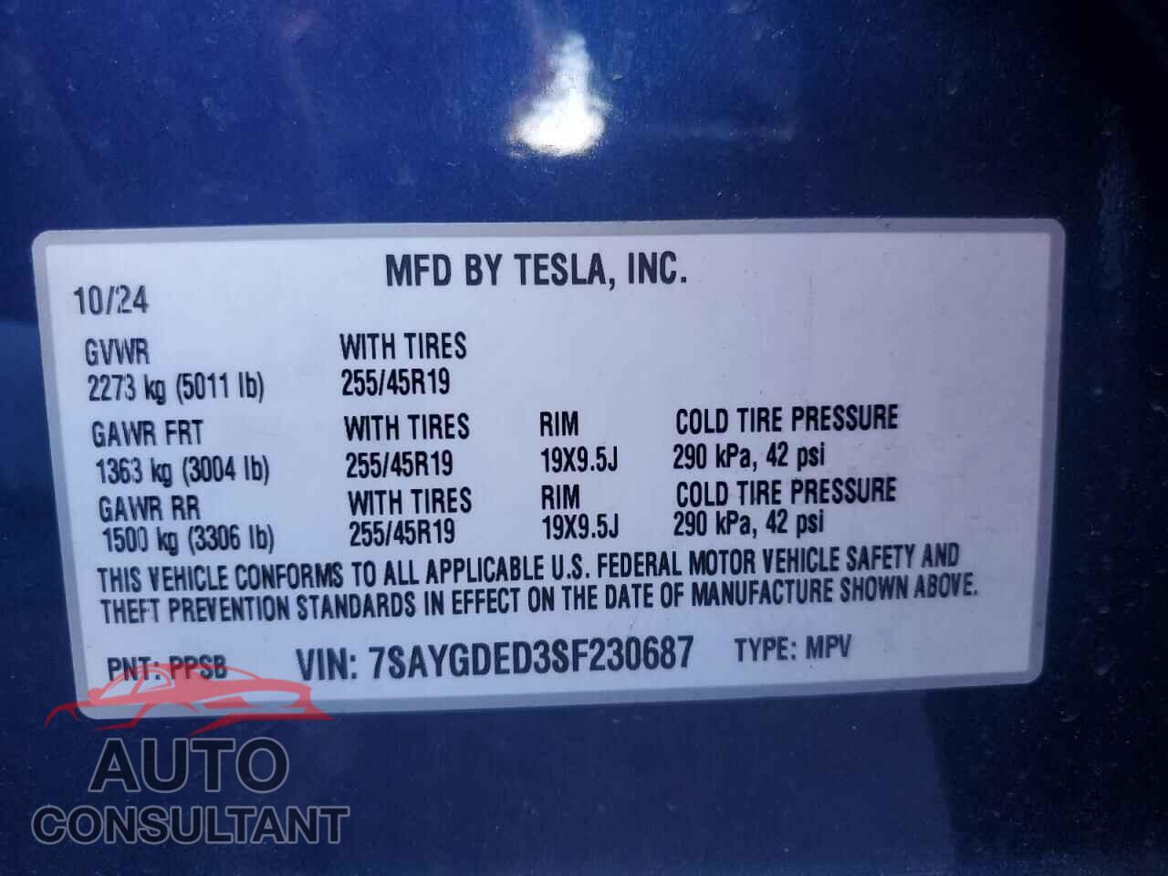 TESLA MODEL Y 2025 - 7SAYGDED3SF230687