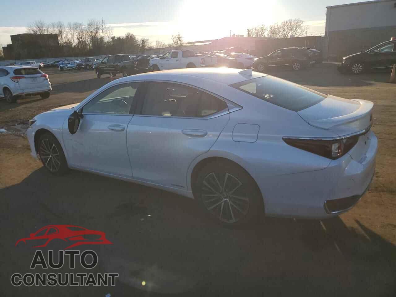 LEXUS ES300 2022 - 58ADA1C19NU026464