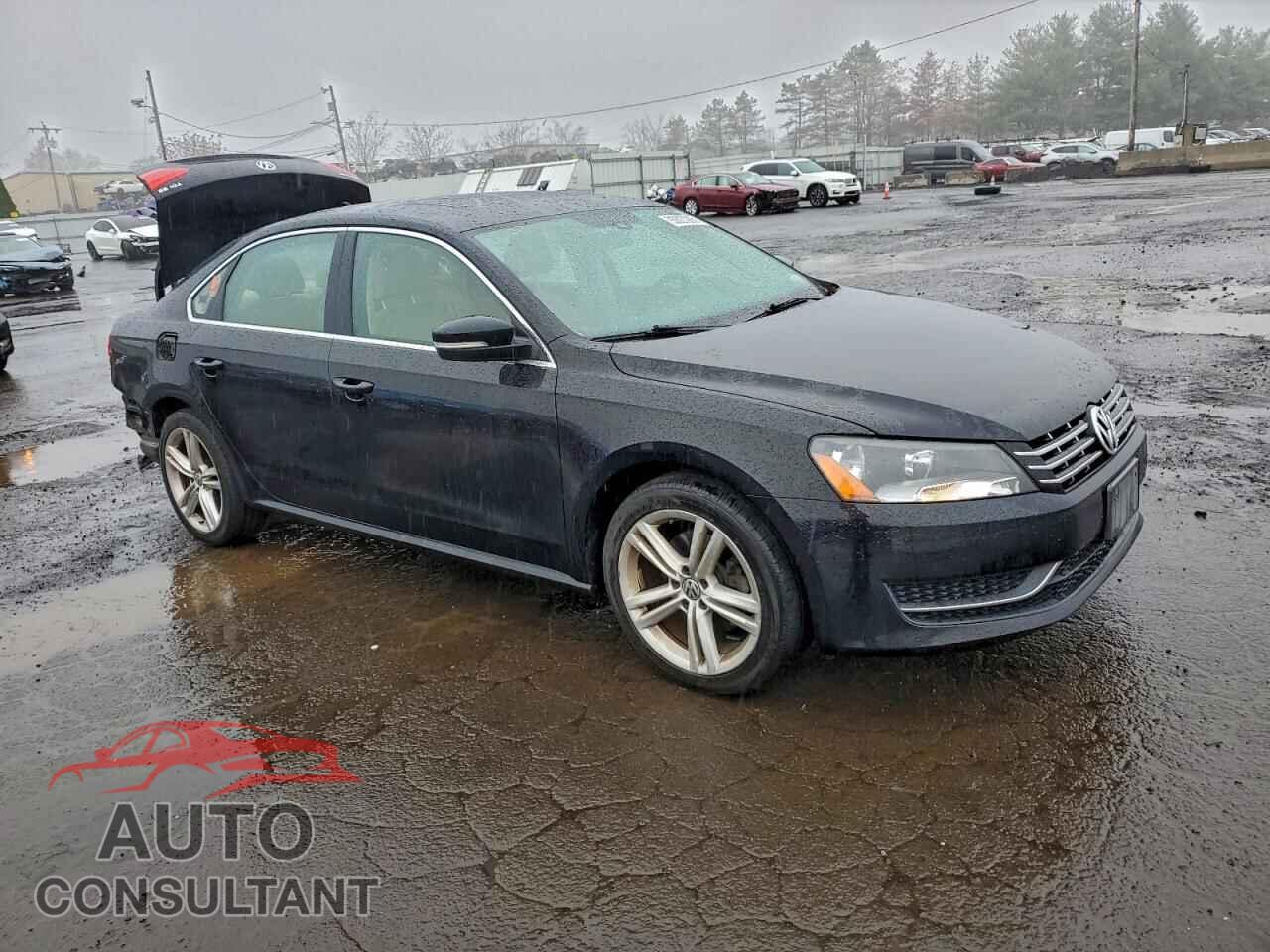 VOLKSWAGEN PASSAT 2014 - 1VWBN7A38EC003680