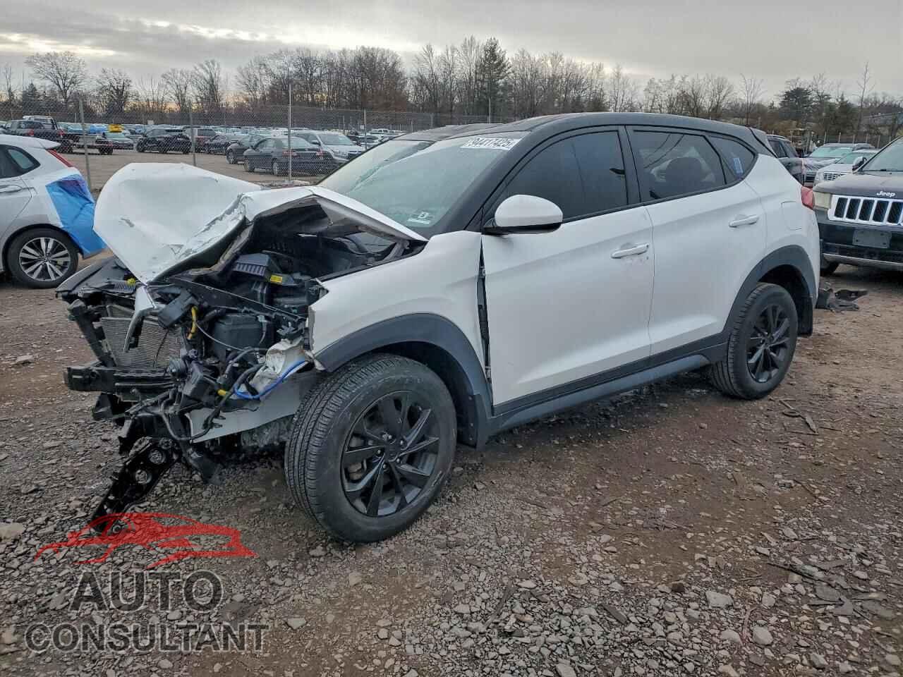 HYUNDAI TUCSON 2019 - KM8J2CA46KU985316