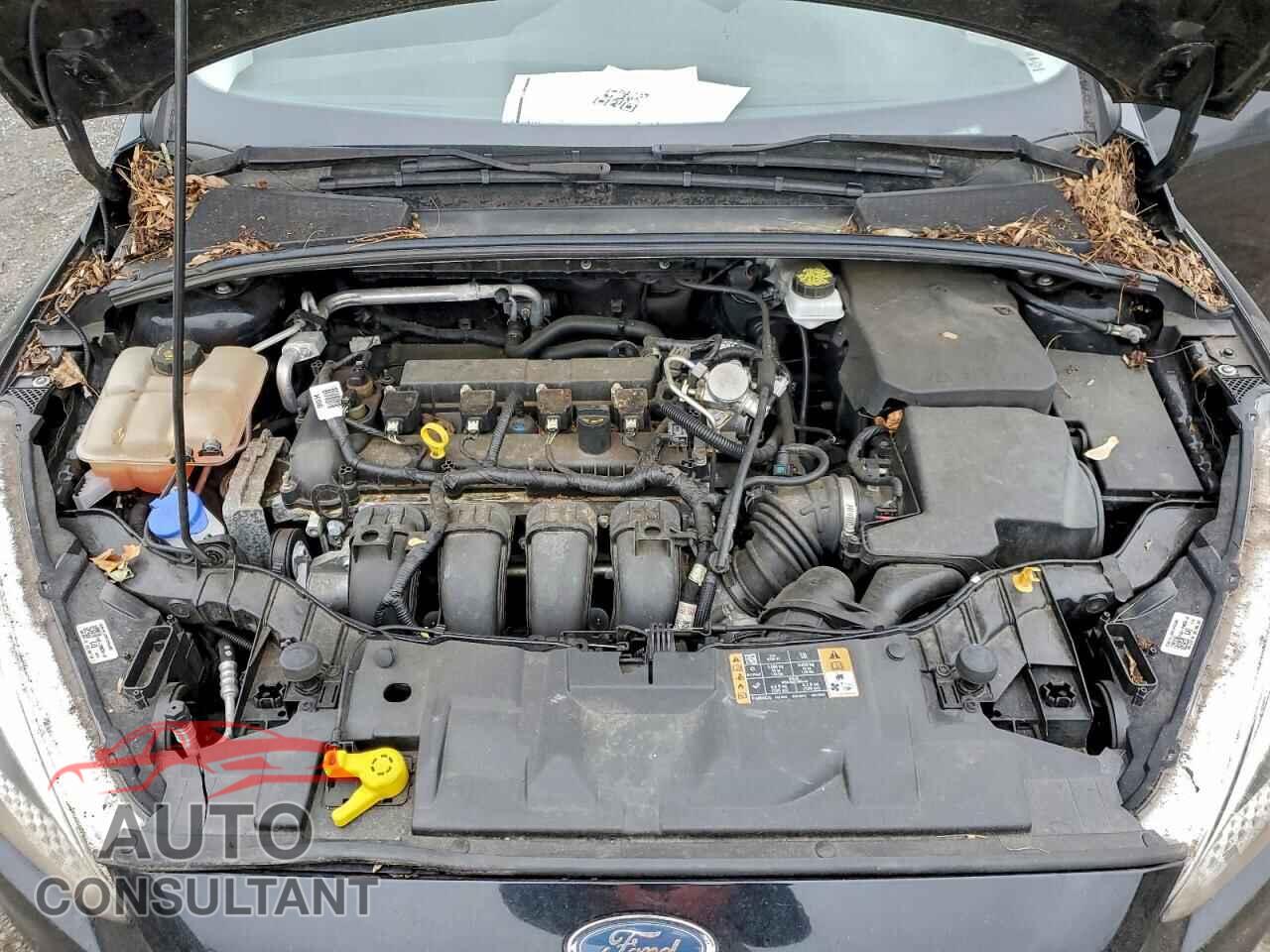 FORD FOCUS 2018 - 1FADP3E20JL202075